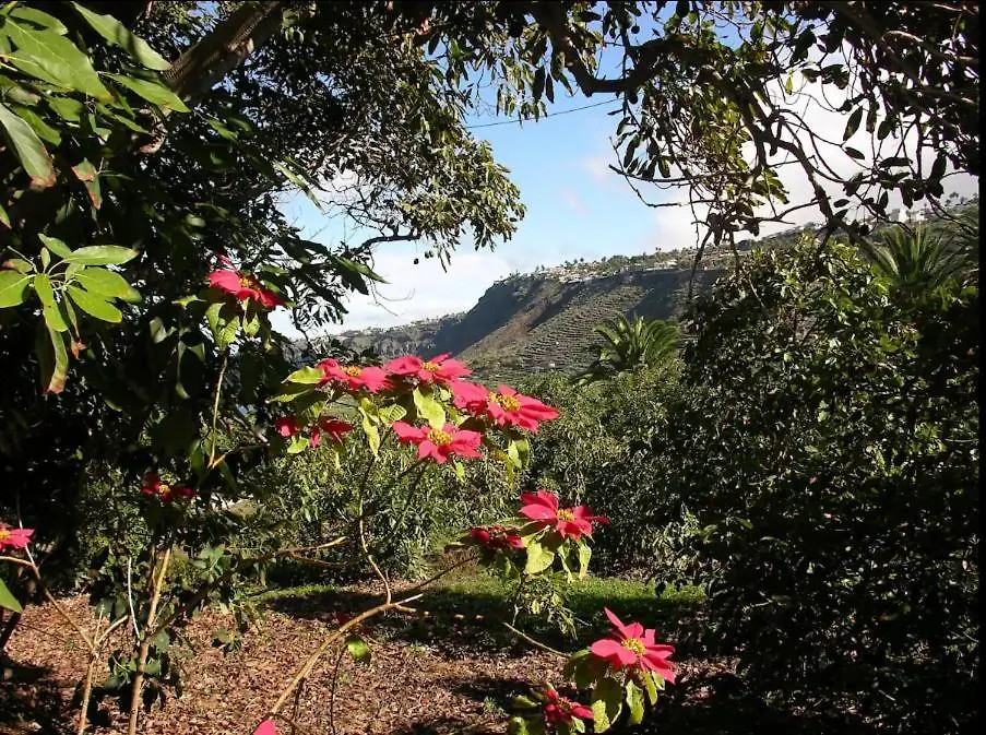 Appartamento Home2Book Charming Cottage Juanita, Among Avocados La Orotava