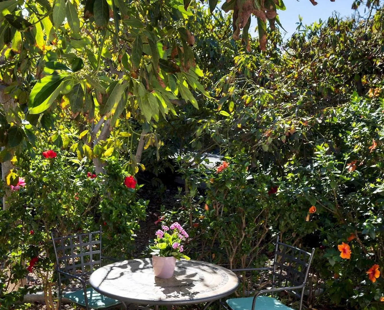 Home2Book Charming Cottage Juanita, Among Avocados La Orotava Appartamento